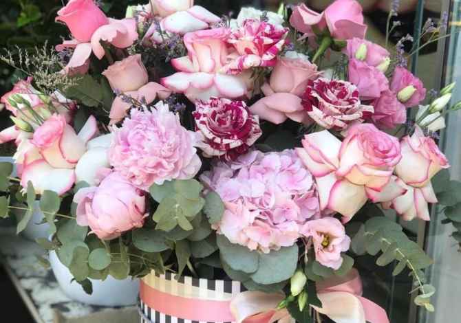 Holiday arrangements in Tirana - 100 Euro