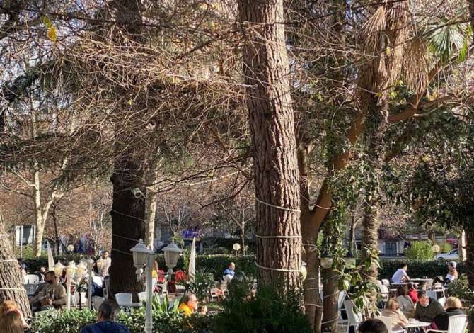 Offerte di lavoro a Tirana, Profession Kuzhnjer/e,Kamarier bari ,Kamarier restoranti , , Pagamento Trattabile.