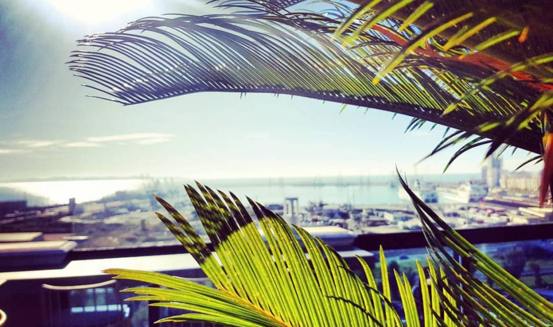 Offerte di lavoro a Durazzo, Profession Sanitare , , Pagamento Trattabile.