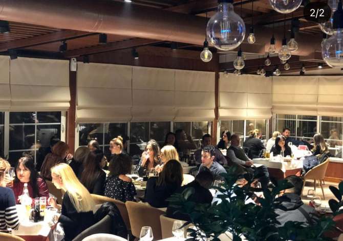 Offerte di lavoro a Tirana, Profession Picier, Kamarier/e , , Pagamento Trattabile.