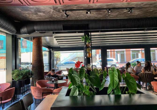 Offerte di lavoro a Tirana, Profession Kamariere,Banakiere , , Pagamento Trattabile.