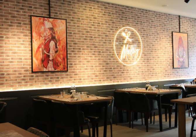 Offerte di lavoro a Tirana, Profession Ndihmes kuzhunier, motorrist , , Pagamento Trattabile.