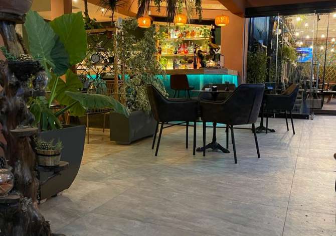 Offerte di lavoro a Tirana, Profession Kamarier/e,Banakier/e , , Pagamento Trattabile.