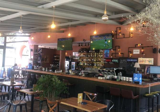 Offerte di lavoro a Tirana, Profession Kamarier,Banakier , , Pagamento Trattabile.