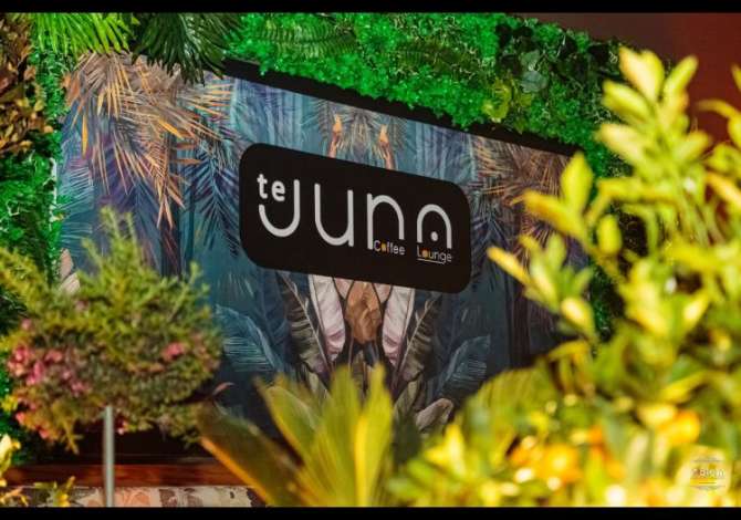 Job Offers for Banker in Vlora