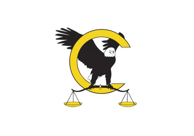 Legal Services in Tirana - 1 Leke