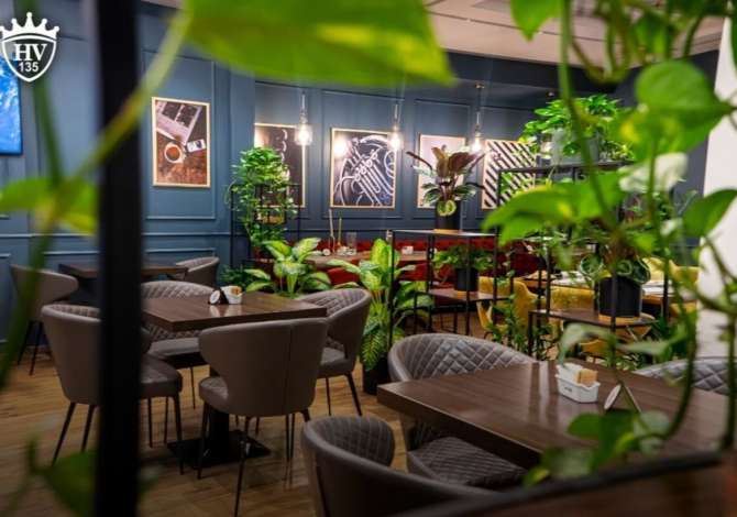 Offerte di lavoro per Kamarier/e Kuzhinier/e Ndihmes Kuzhinier/e dhe Sanitare a Tirana