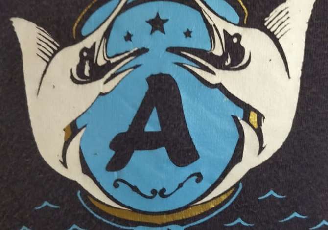 Offerte di lavoro a Tirana, Profession Punetore , Con esperienza, Pagamento 40,000  Leke.