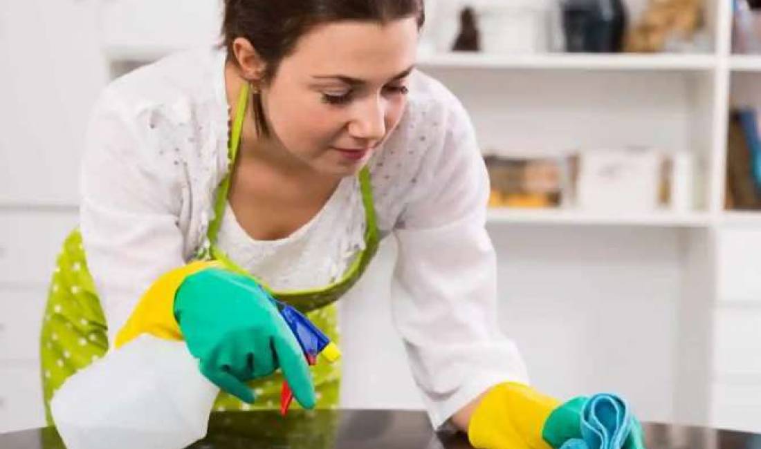 Offerte di lavoro a Tirana, Profession Punonjese shtepie , Nessuna esperienza, Pagamento Trattabile.