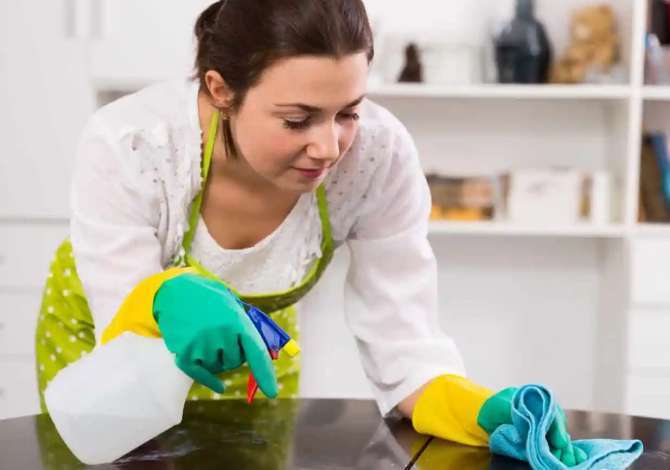 Offerte di lavoro per Punonjese shtepie a Tirana