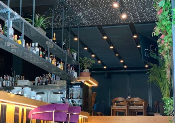 Offerte di lavoro a Tirana, Profession Kamarier/e , Principiante/Poca esperienza, Pagamento 35,000  Leke.