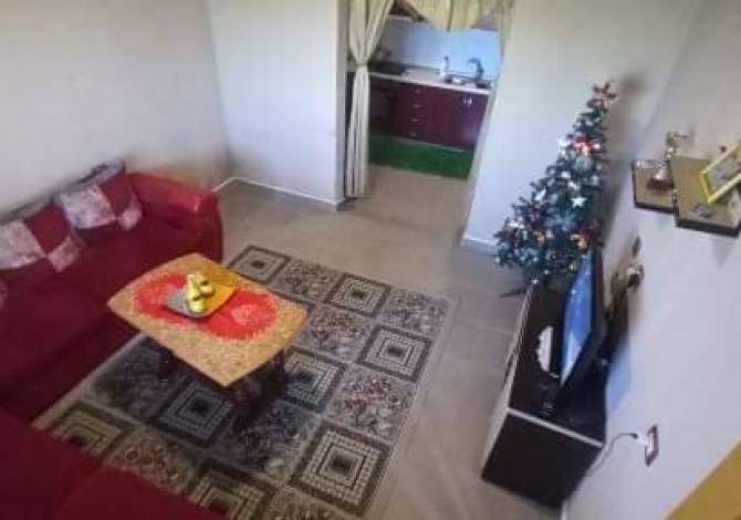 Shitet shtepia bashke me 3 dynym toke