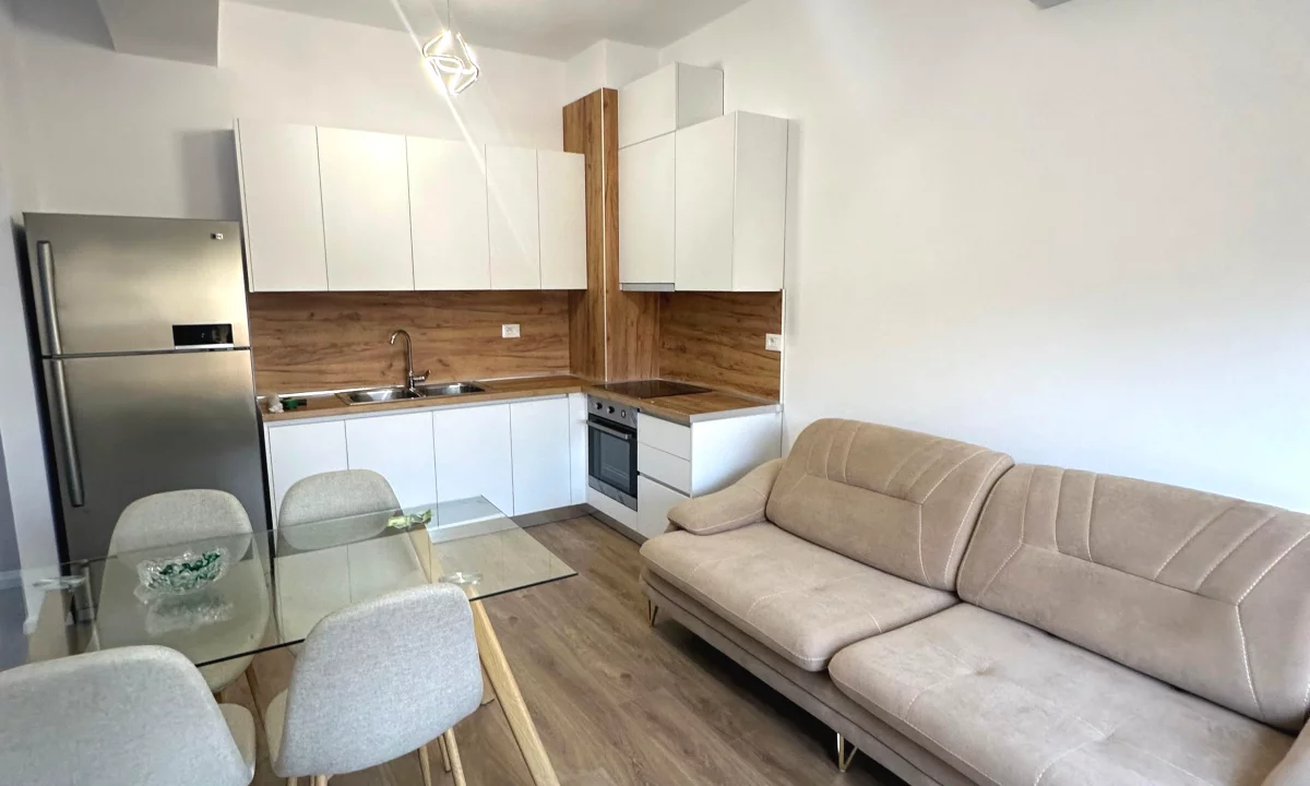 Shtepi ne shitje Apartament ne Tirane, 1+1, Mobilimi E mobiluar, Pagesa 100,000  Euro.