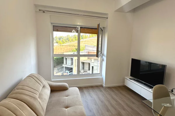Shtepi ne shitje Apartament ne Tirane, 1+1, Mobilimi E mobiluar, Pagesa 100,000  Euro.