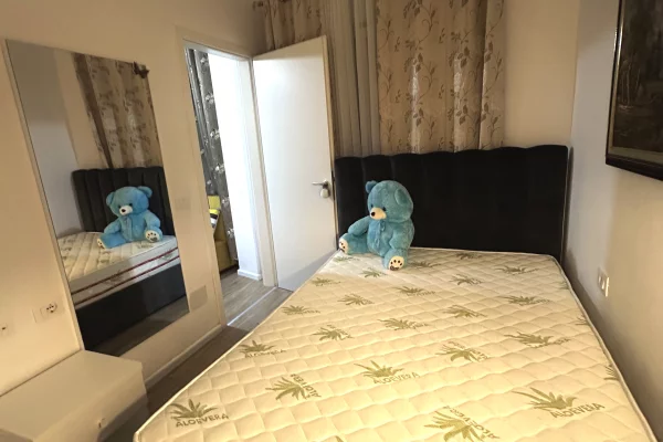 Shtepi me qera Apartament ne Tirane, 1+1, Mobilimi E mobiluar, Pagesa 35,000  Leke.