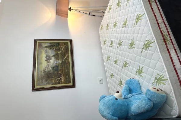 Shtepi me qera Apartament ne Tirane, 1+1, Mobilimi E mobiluar, Pagesa 35,000  Leke.
