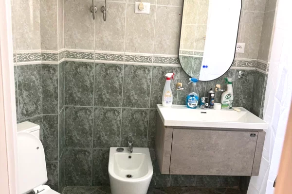 Shtepi me qera Apartament ne Tirane, 1+1, Mobilimi E mobiluar, Pagesa 55,000  Leke.