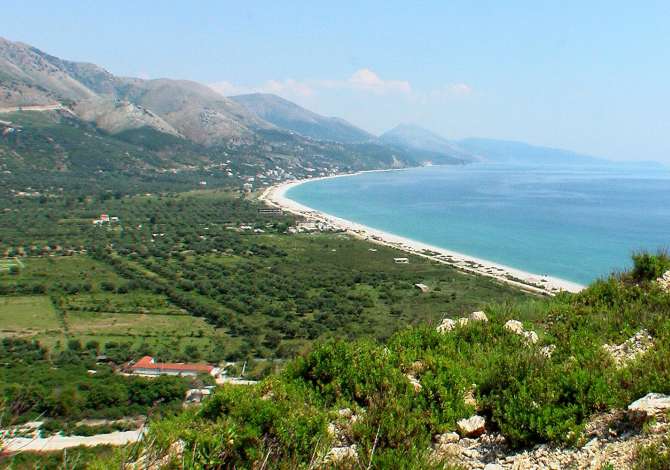 Shitet toke ne Borsh!