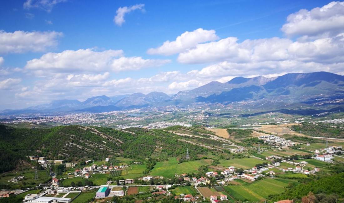 SHITET TOKE NE PETRELE