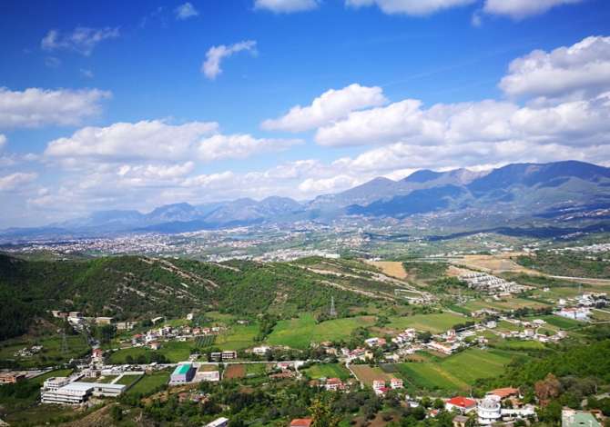 SHITET TOKE NE PETRELE