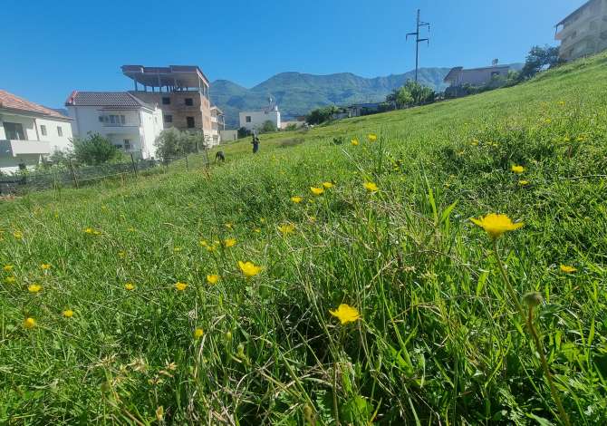 Truall ose Toke ne Tirane - 70,000 Euro