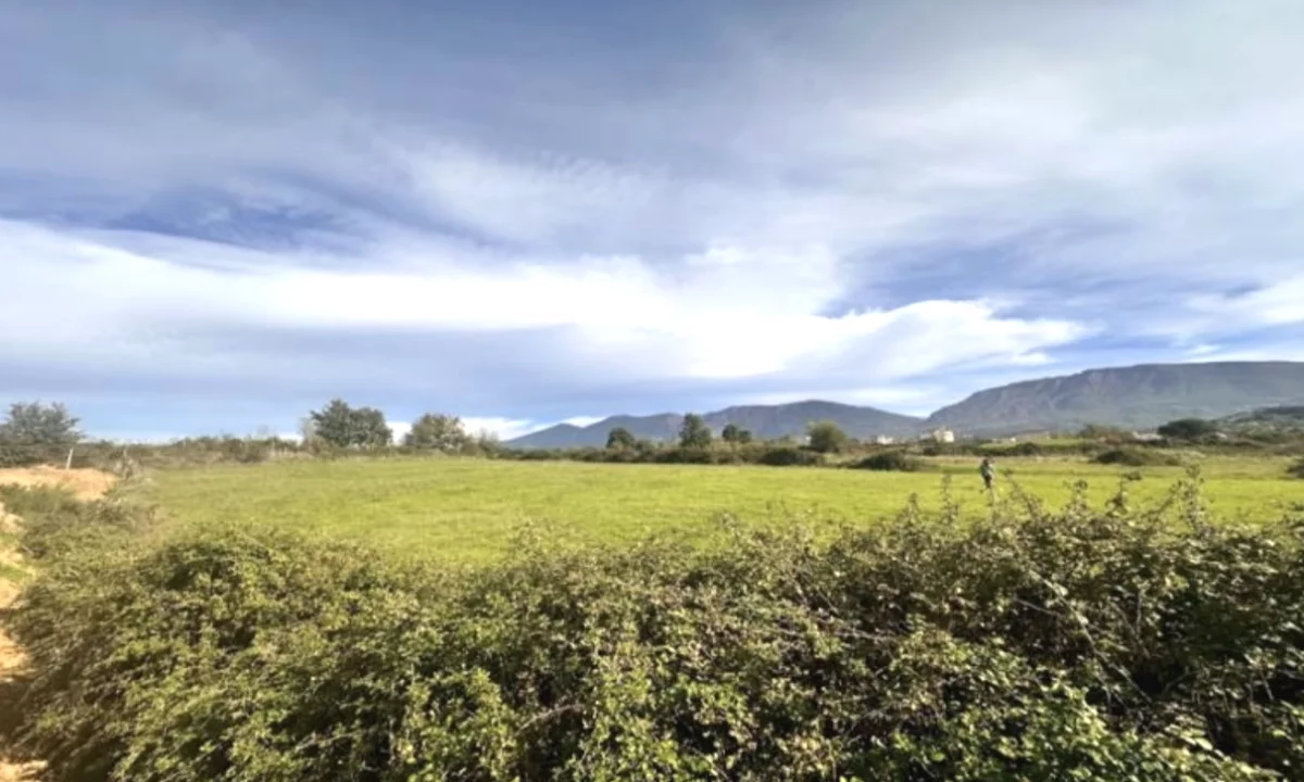 Shitet toke / truall ne lunder prane rolling hills