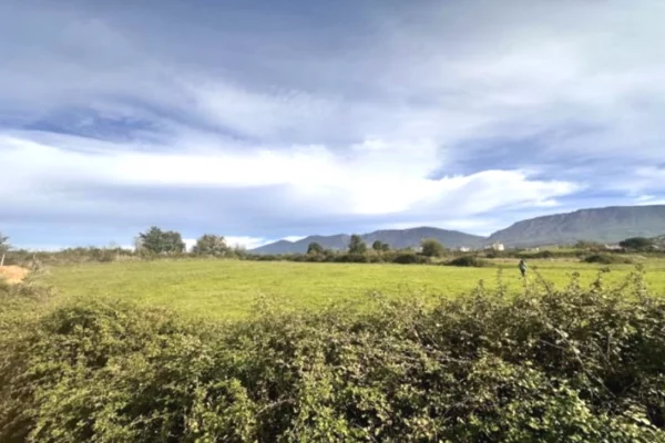 Shitet toke / truall ne lunder prane rolling hills