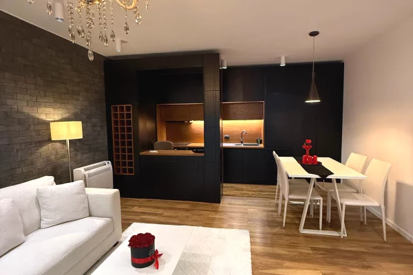 Shtepi ne shitje Apartament ne Tirane, 1+1, Mobilimi E mobiluar, Pagesa 250,000  Euro.