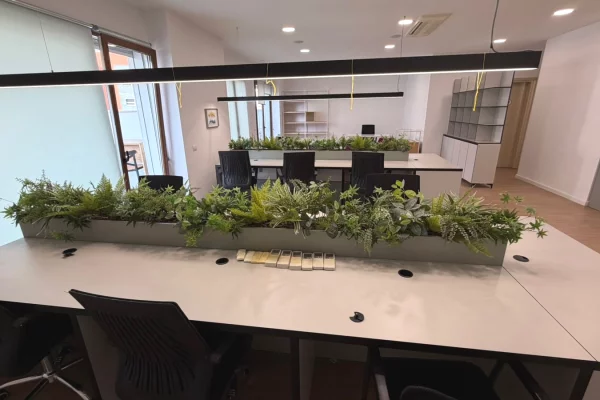 Ambient biznesi me qera 3+1 ne Tirane - 300,000 Leke