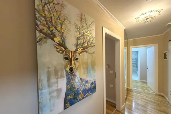 Appartamento in affitto a Tirana 2+1, Arredato