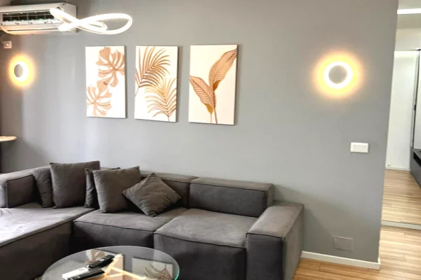 Shtepi me qera 1+1 ne Tirane - 700 Euro