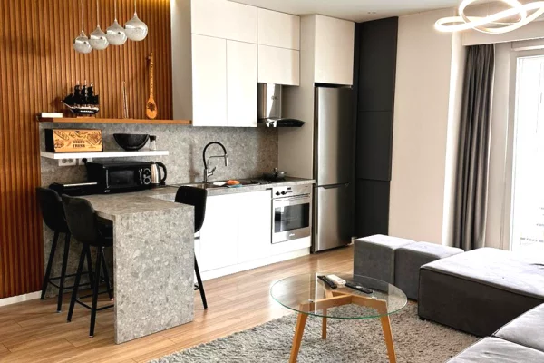 Shtepi me qera Apartament ne Tirane, 1+1, Mobilimi E mobiluar, Pagesa 700  Euro.