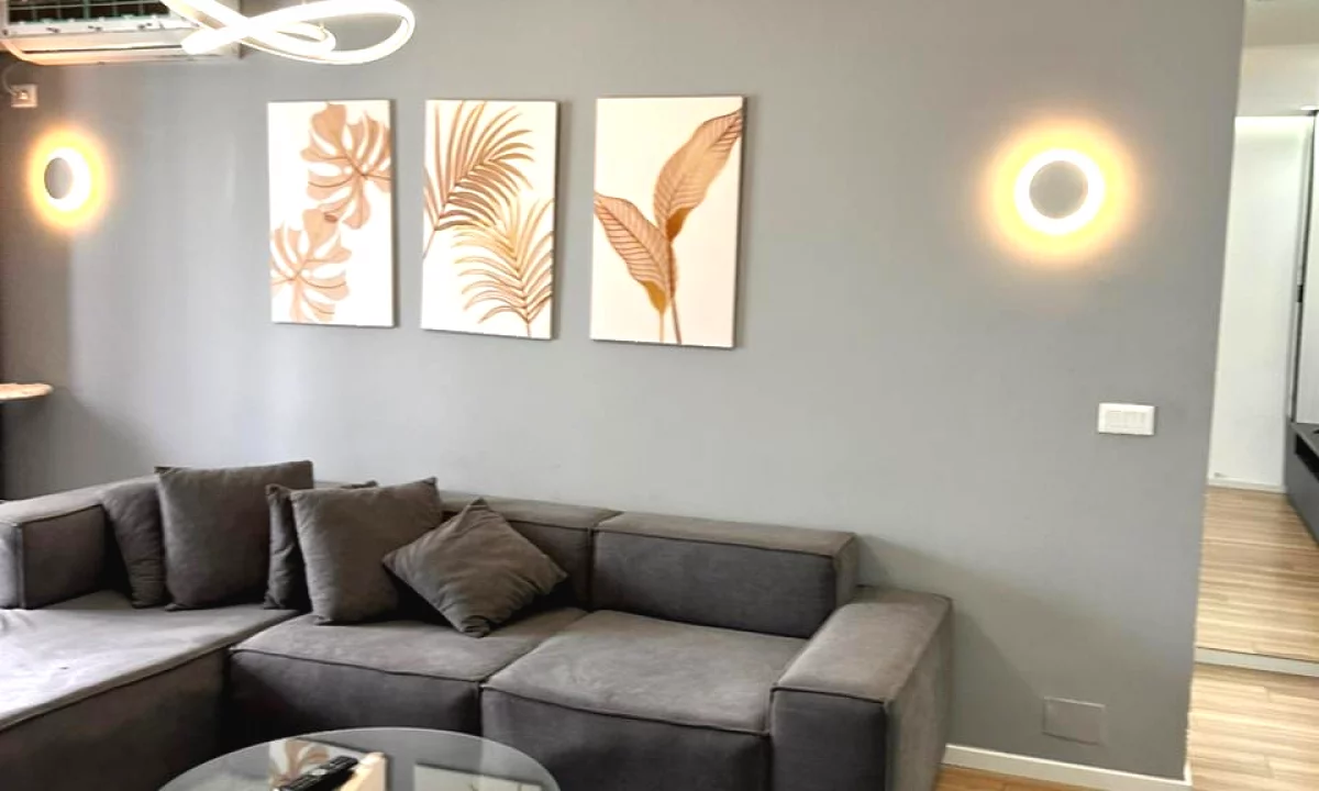 Shtepi me qera Apartament ne Tirane, 1+1, Mobilimi E mobiluar, Pagesa 700  Euro.