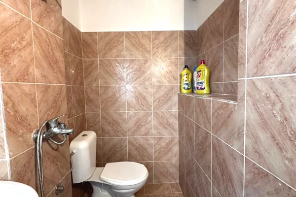 Shtepi me qera Vila Luksoze ne Tirane, 1+1, Mobilimi Pjeserisht e mobiluar, Pagesa 50,000  Leke.