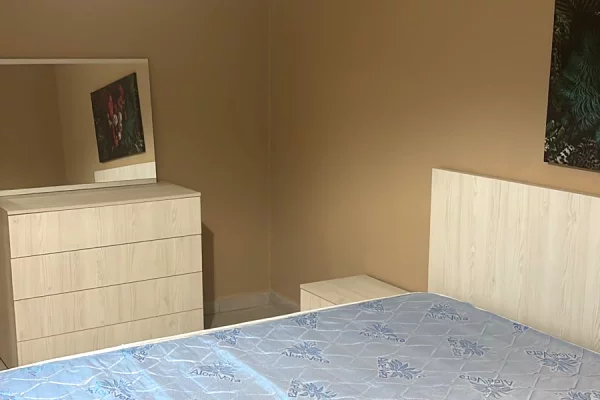 Apartment for rent in Tirana 1+1, Furnished