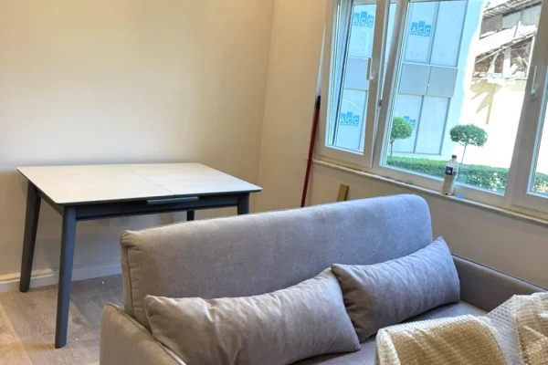 Apartment for rent in Tirana 1+1, In Part