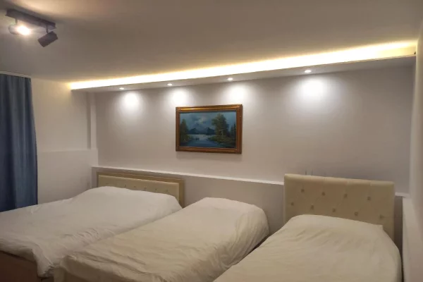 Luxury villas for rent in Tirana 1+1, Furnished