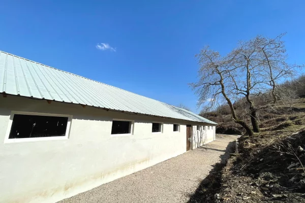 Ambient biznesi me qera 4+1 ne Tirane - 1,000 Euro