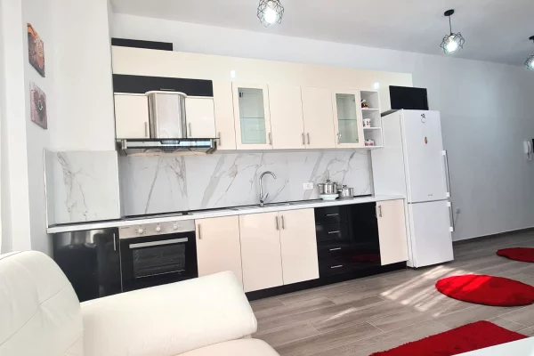 Apartment for rent in Tirana 1+1, Furnished