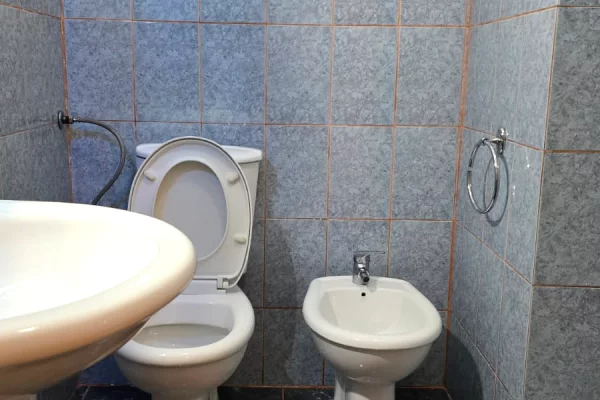 Shtepi me qera Apartament ne Tirane, 2+1, Mobilimi E mobiluar, Pagesa 45,000  Leke.