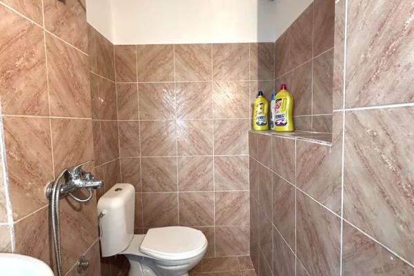 Shtepi me qera Vila Luksoze ne Tirane, 1+1, Mobilimi Pjeserisht e mobiluar, Pagesa 50,000  Leke.