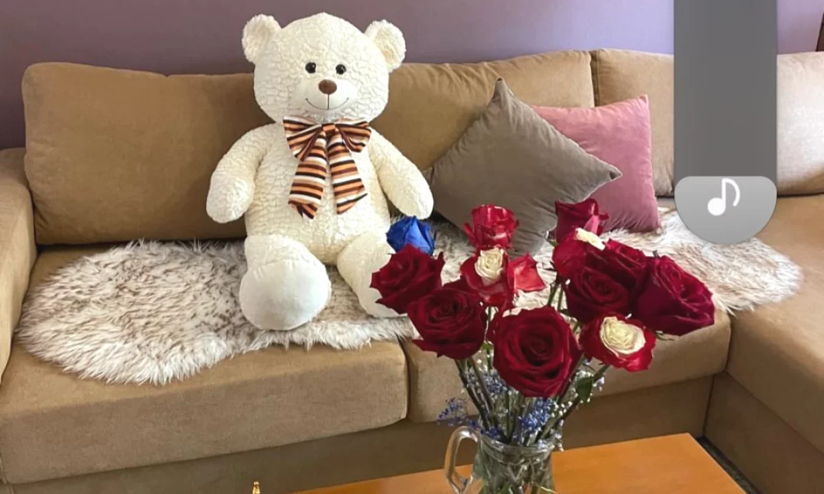 Shtepi me qera Apartament ne Tirane, 1+1, Mobilimi E mobiluar, Pagesa 65,000  Leke.