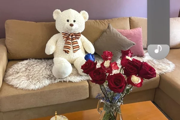 Shtepi me qera 1+1 ne Tirane - 65,000 Leke