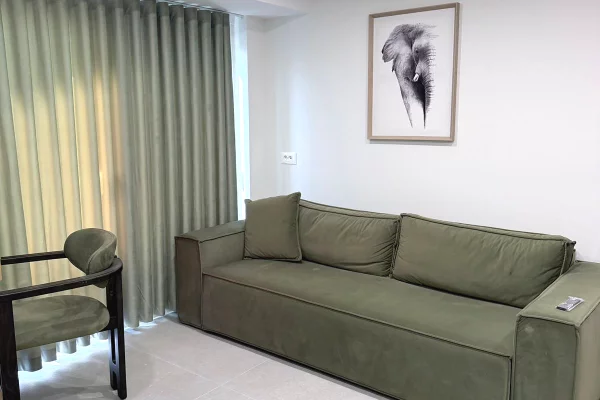 Shtepi me qera Apartament ne Tirane, Garsoniere, Mobilimi E mobiluar, Pagesa 35,000  Leke.