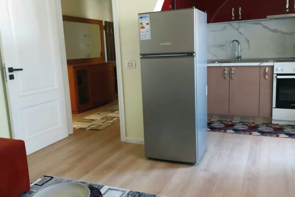 Shtepi me qera Apartament ne Tirane, 1+1, Mobilimi E mobiluar, Pagesa 48,000  Leke.