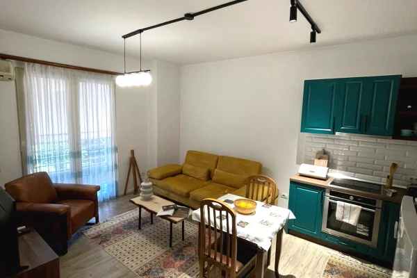 Shtepi me qera 1+1 ne Tirane - 55,000 Leke