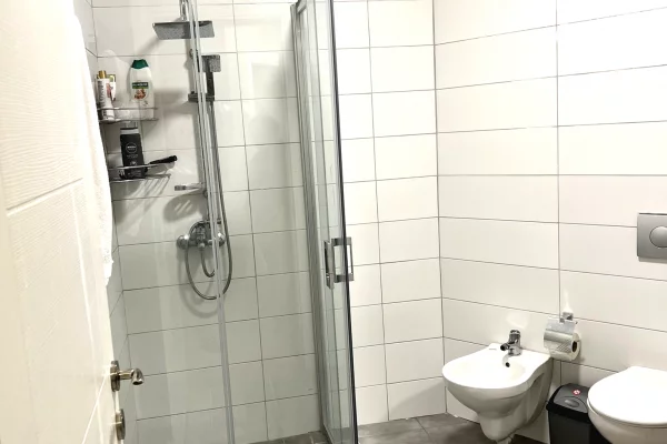 Shtepi me qera Apartament ne Tirane, 2+1, Mobilimi E mobiluar, Pagesa 500  Euro.