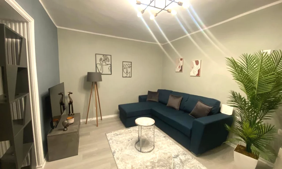 Shtepi me qera Apartament ne Tirane, 1+1, Mobilimi E mobiluar, Pagesa 65,000  Leke.