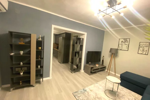 Shtepi me qera Apartament ne Tirane, 1+1, Mobilimi E mobiluar, Pagesa 65,000  Leke.