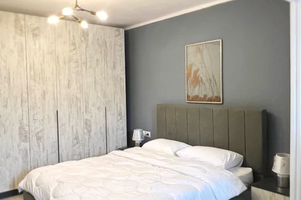 Shtepi me qera Apartament ne Tirane, 1+1, Mobilimi E mobiluar, Pagesa 65,000  Leke.